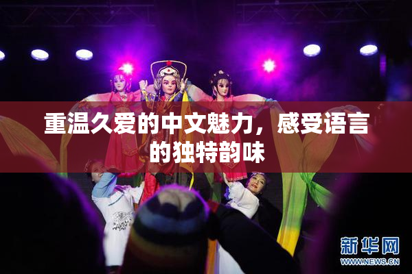 重温久爱的中文魅力，感受语言的独特韵味