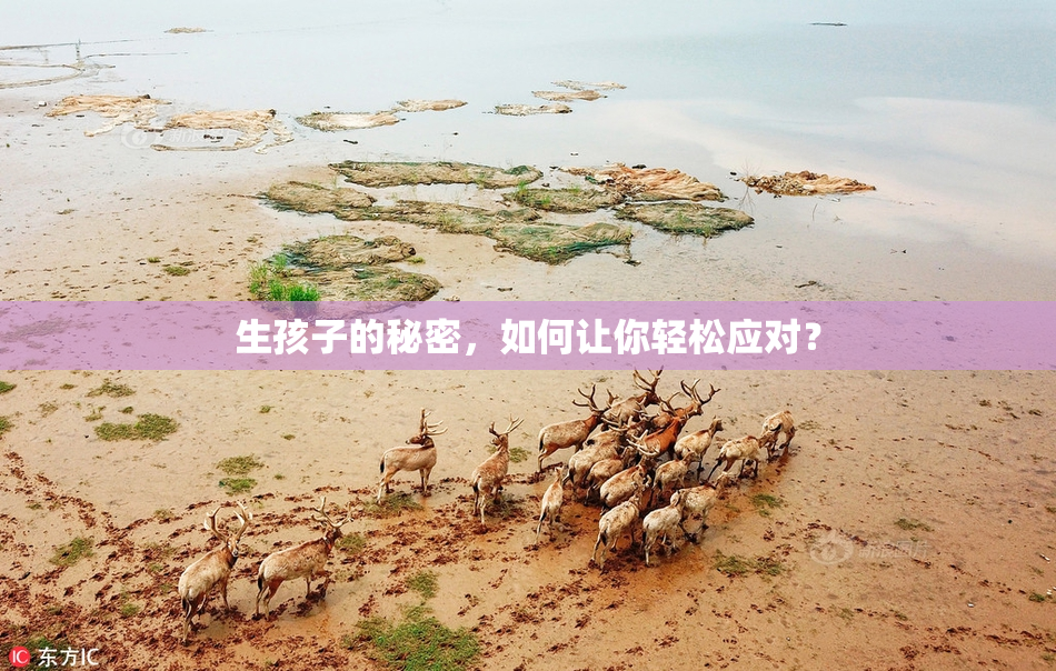 生孩子的秘密，如何让你轻松应对？