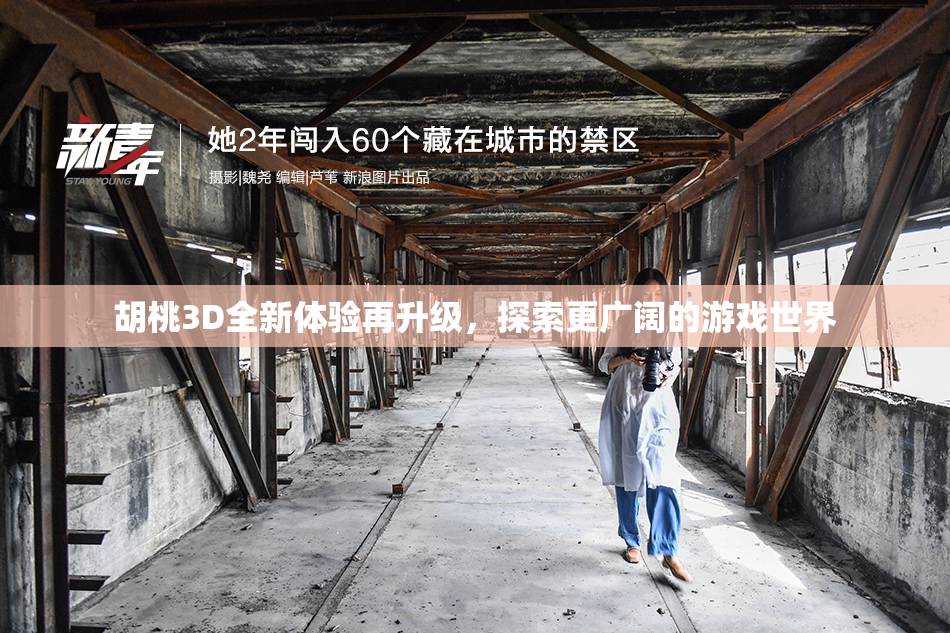 胡桃3D全新体验再升级，探索更广阔的游戏世界
