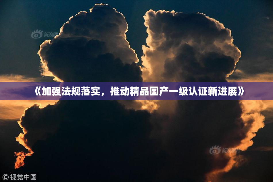 《加强法规落实，推动精品国产一级认证新进展》
