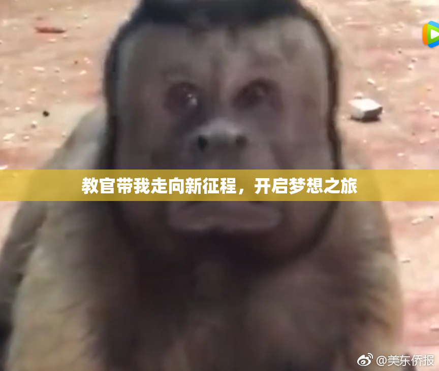 教官带我走向新征程，开启梦想之旅