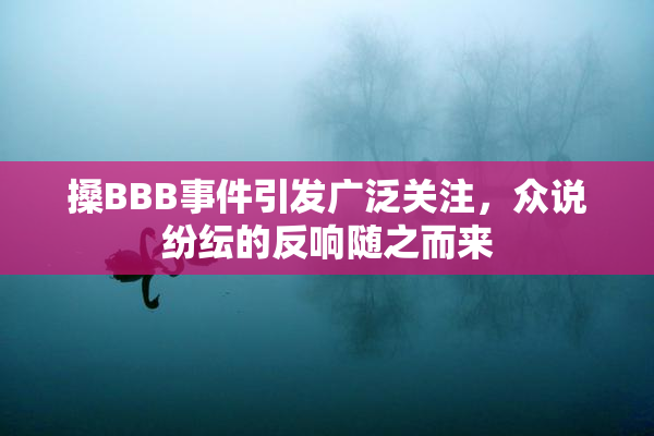 搡BBB事件引发广泛关注，众说纷纭的反响随之而来