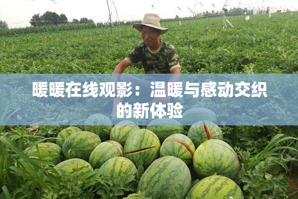 暖暖在线观影：温暖与感动交织的新体验