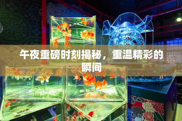 午夜重磅时刻揭秘，重温精彩的瞬间