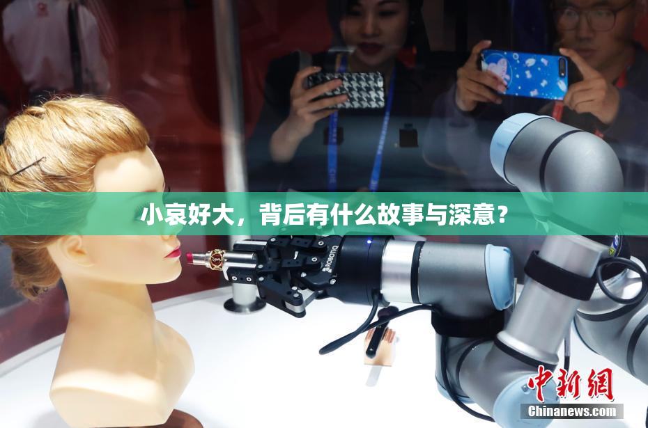小哀好大，背后有什么故事与深意？