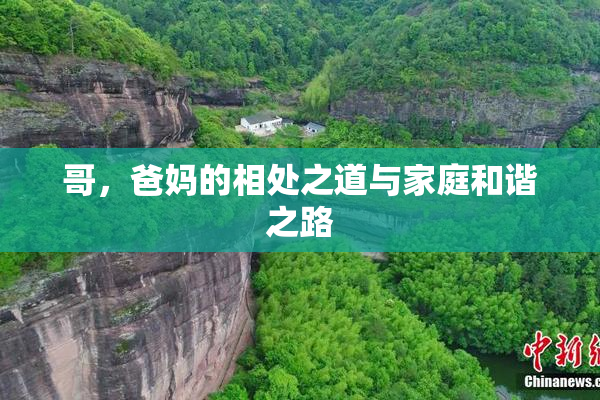哥，爸妈的相处之道与家庭和谐之路