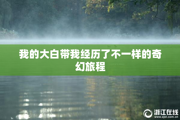我的大白带我经历了不一样的奇幻旅程