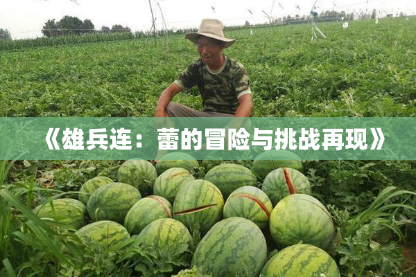 《雄兵连：蕾的冒险与挑战再现》