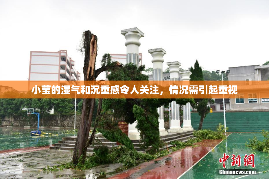 小莹的湿气和沉重感令人关注，情况需引起重视