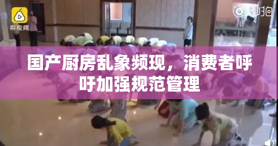 国产厨房乱象频现，消费者呼吁加强规范管理