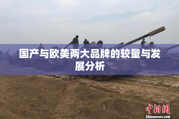 国产与欧美两大品牌的较量与发展分析