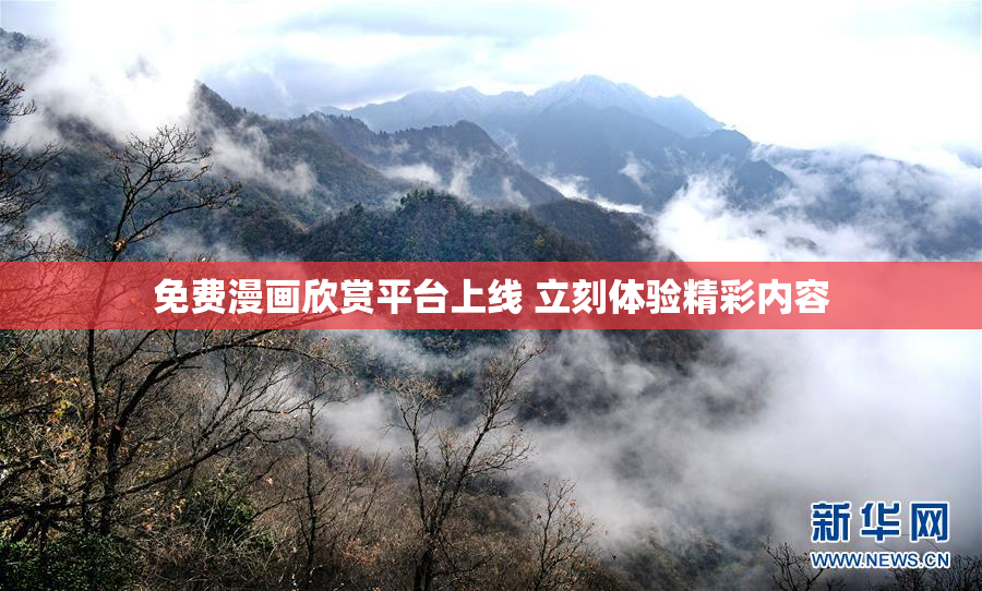 免费漫画欣赏平台上线 立刻体验精彩内容