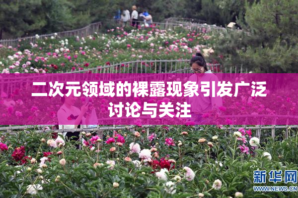 二次元领域的裸露现象引发广泛讨论与关注