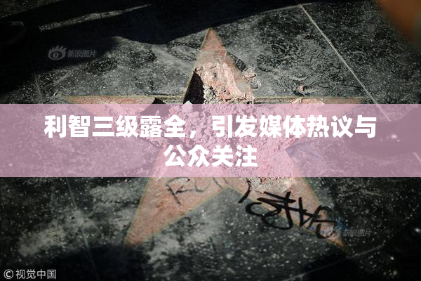 利智三级露全，引发媒体热议与公众关注
