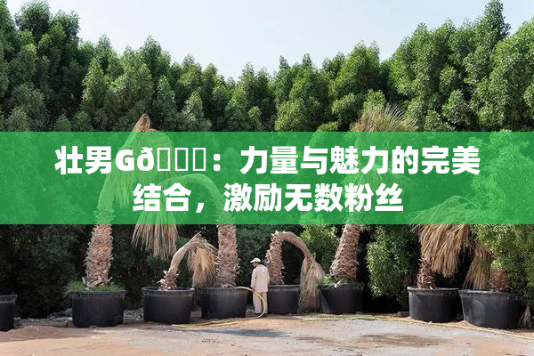 壮男G🈚：力量与魅力的完美结合，激励无数粉丝