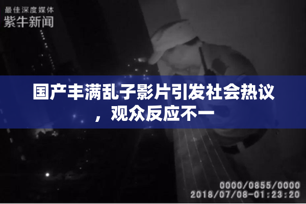 国产丰满乱子影片引发社会热议，观众反应不一