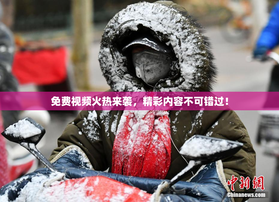 免费视频火热来袭，精彩内容不可错过！