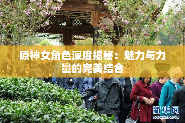 原神女角色深度揭秘：魅力与力量的完美结合