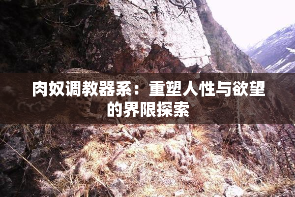 肉奴调教器系：重塑人性与欲望的界限探索