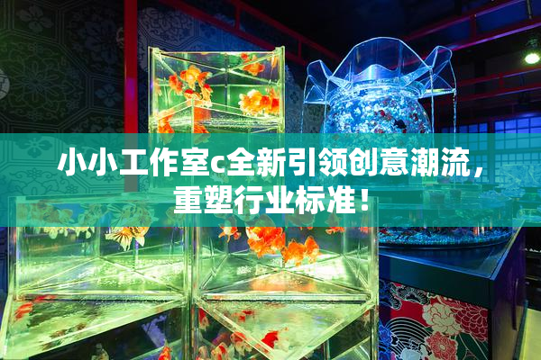 小小工作室c全新引领创意潮流，重塑行业标准！