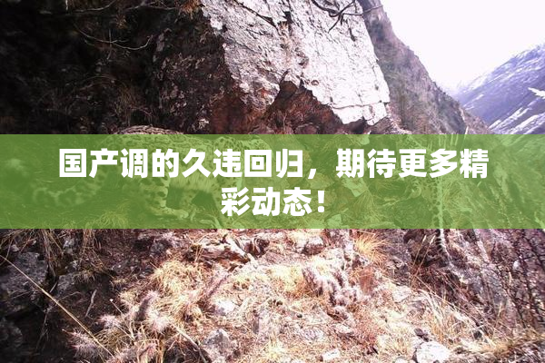 国产调的久违回归，期待更多精彩动态！