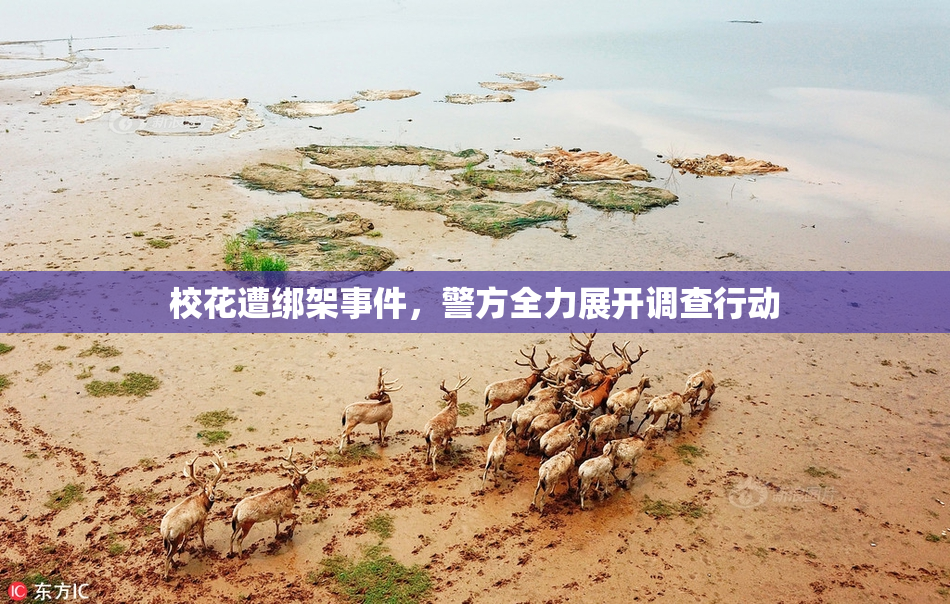 校花遭绑架事件，警方全力展开调查行动