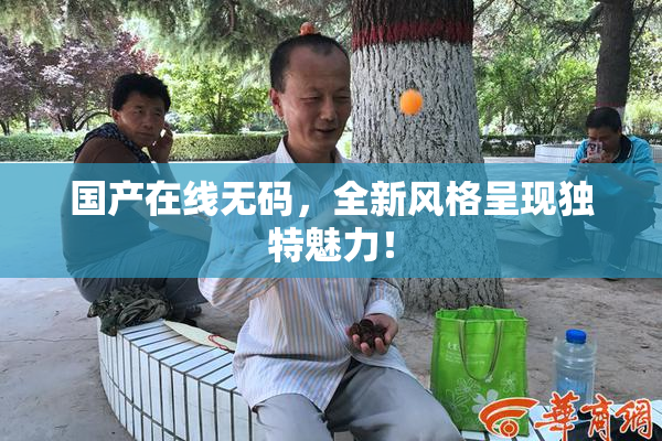 国产在线无码，全新风格呈现独特魅力！