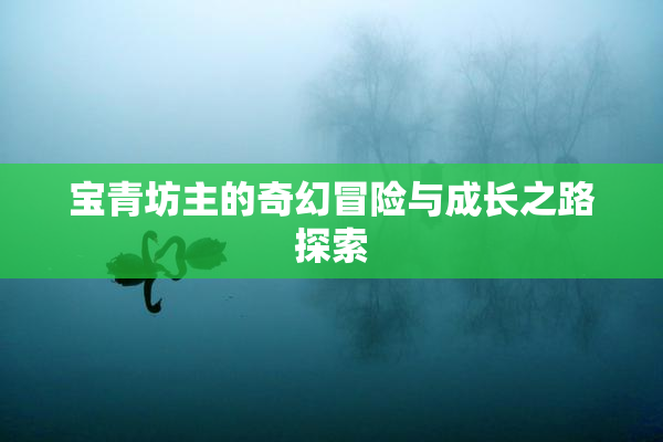 宝青坊主的奇幻冒险与成长之路探索
