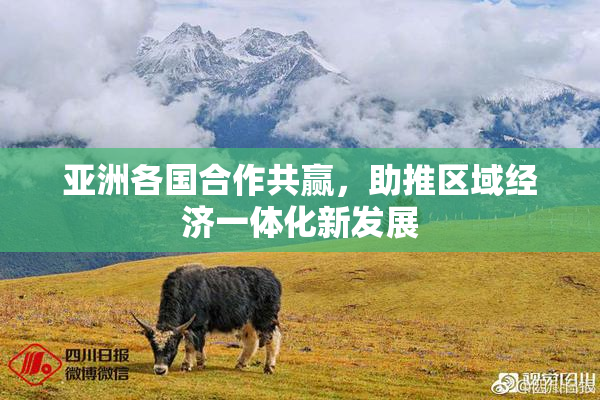 亚洲各国合作共赢，助推区域经济一体化新发展