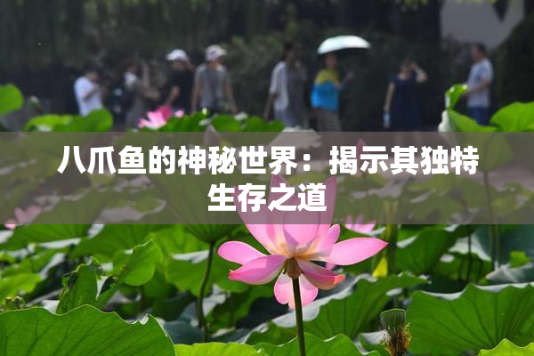 八爪鱼的神秘世界：揭示其独特生存之道