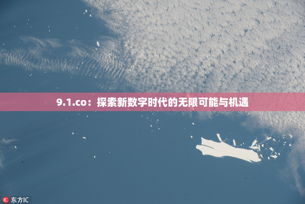 9.1.co：探索新数字时代的无限可能与机遇