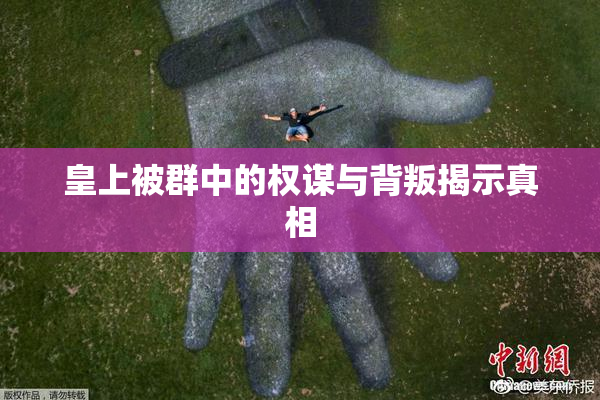皇上被群中的权谋与背叛揭示真相