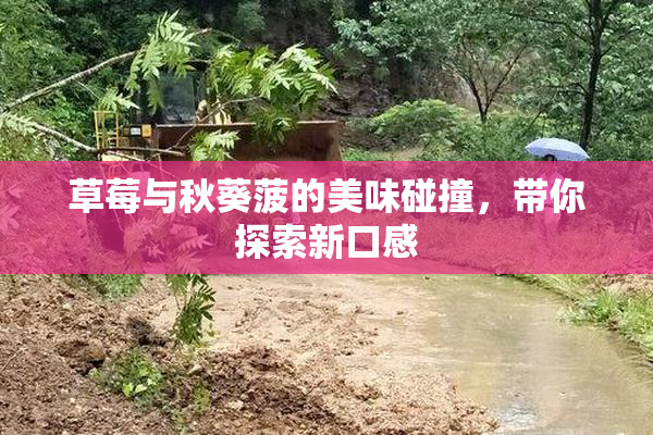草莓与秋葵菠的美味碰撞，带你探索新口感
