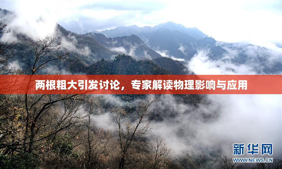 两根粗大引发讨论，专家解读物理影响与应用