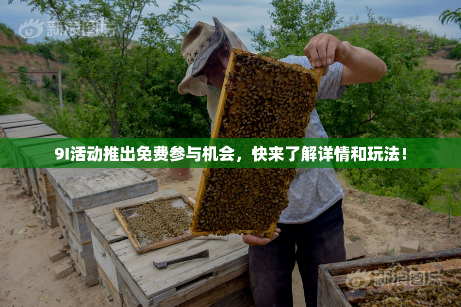 9I活动推出免费参与机会，快来了解详情和玩法！