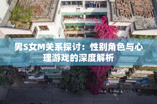 男S女M关系探讨：性别角色与心理游戏的深度解析