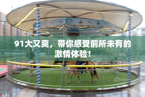 91大又爽，带你感受前所未有的激情体验！
