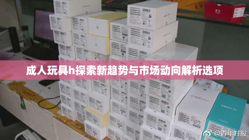 成人玩具h探索新趋势与市场动向解析选项