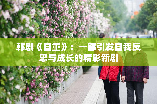 韩剧《自重》：一部引发自我反思与成长的精彩新剧