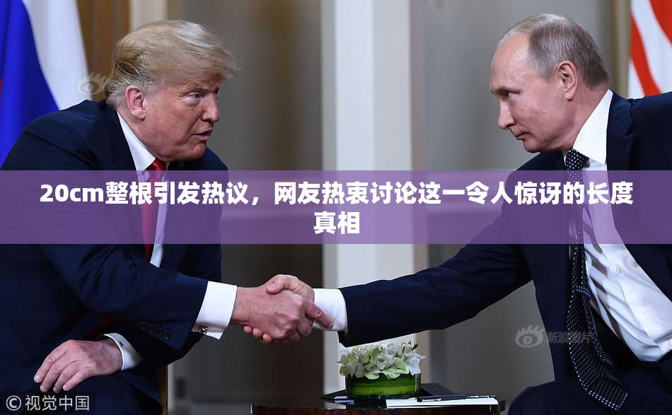 20cm整根引发热议，网友热衷讨论这一令人惊讶的长度真相