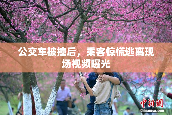 公交车被撞后，乘客惊慌逃离现场视频曝光