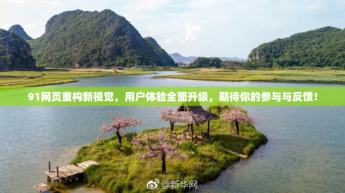 91网页重构新视觉，用户体验全面升级，期待你的参与与反馈！