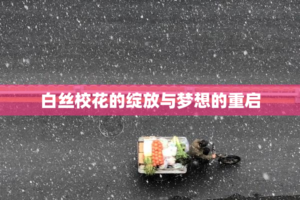白丝校花的绽放与梦想的重启