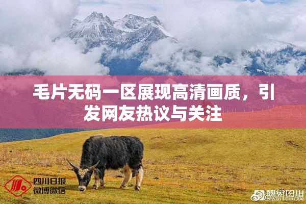 毛片无码一区展现高清画质，引发网友热议与关注
