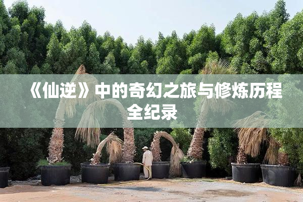 《仙逆》中的奇幻之旅与修炼历程全纪录