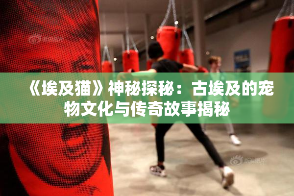 《埃及猫》神秘探秘：古埃及的宠物文化与传奇故事揭秘