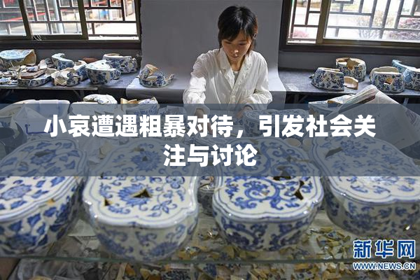 小哀遭遇粗暴对待，引发社会关注与讨论