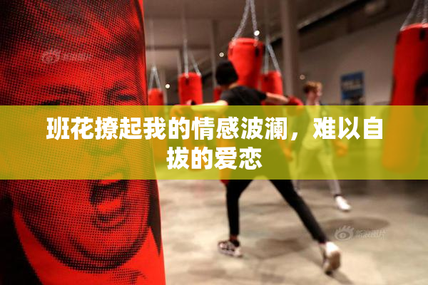 班花撩起我的情感波澜，难以自拔的爱恋