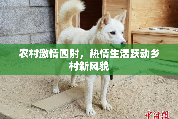 农村激情四射，热情生活跃动乡村新风貌