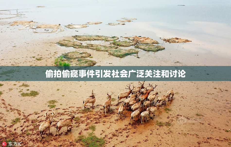 偷拍偷窥事件引发社会广泛关注和讨论